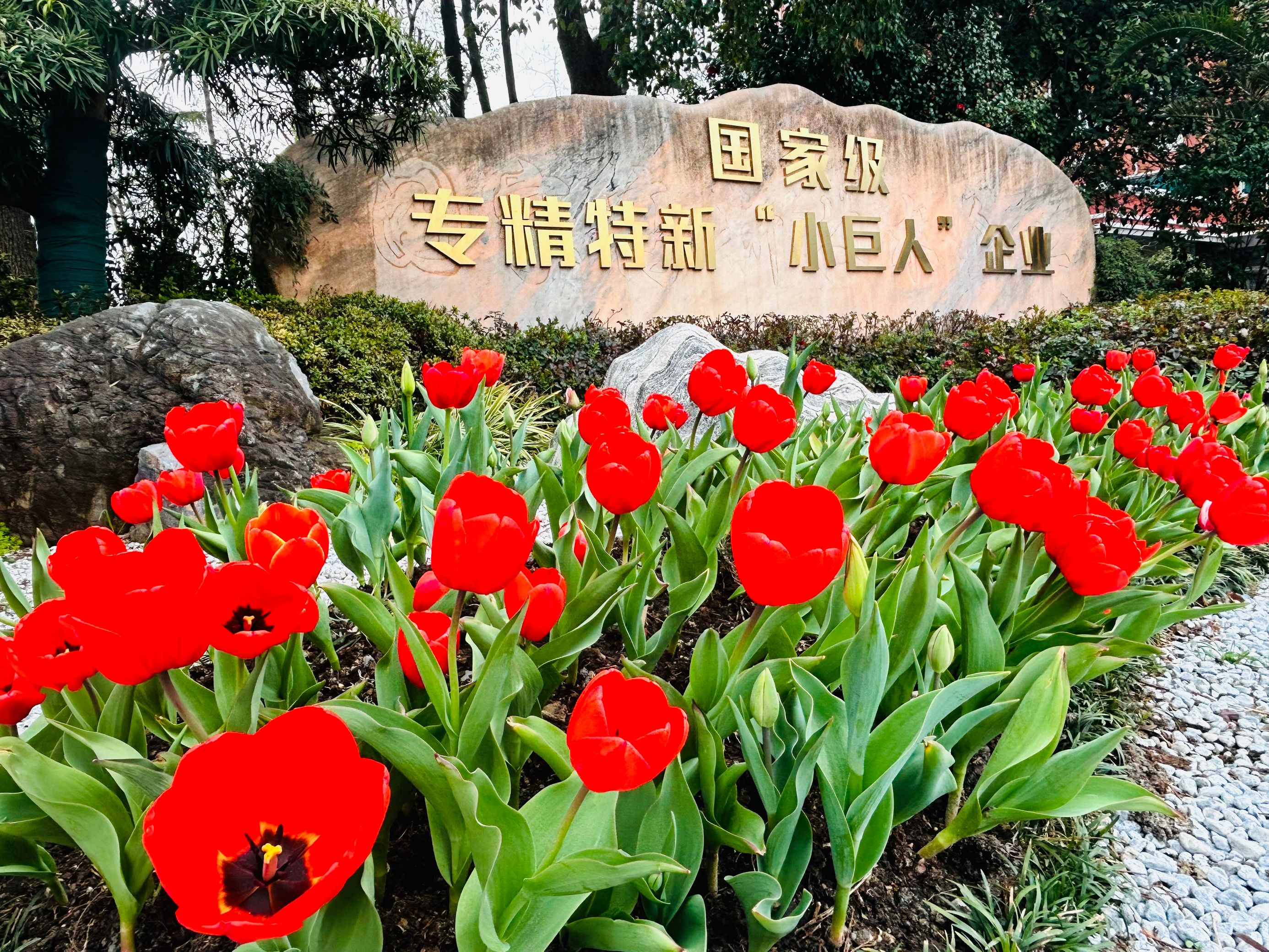 1742955221689865.png 16.png