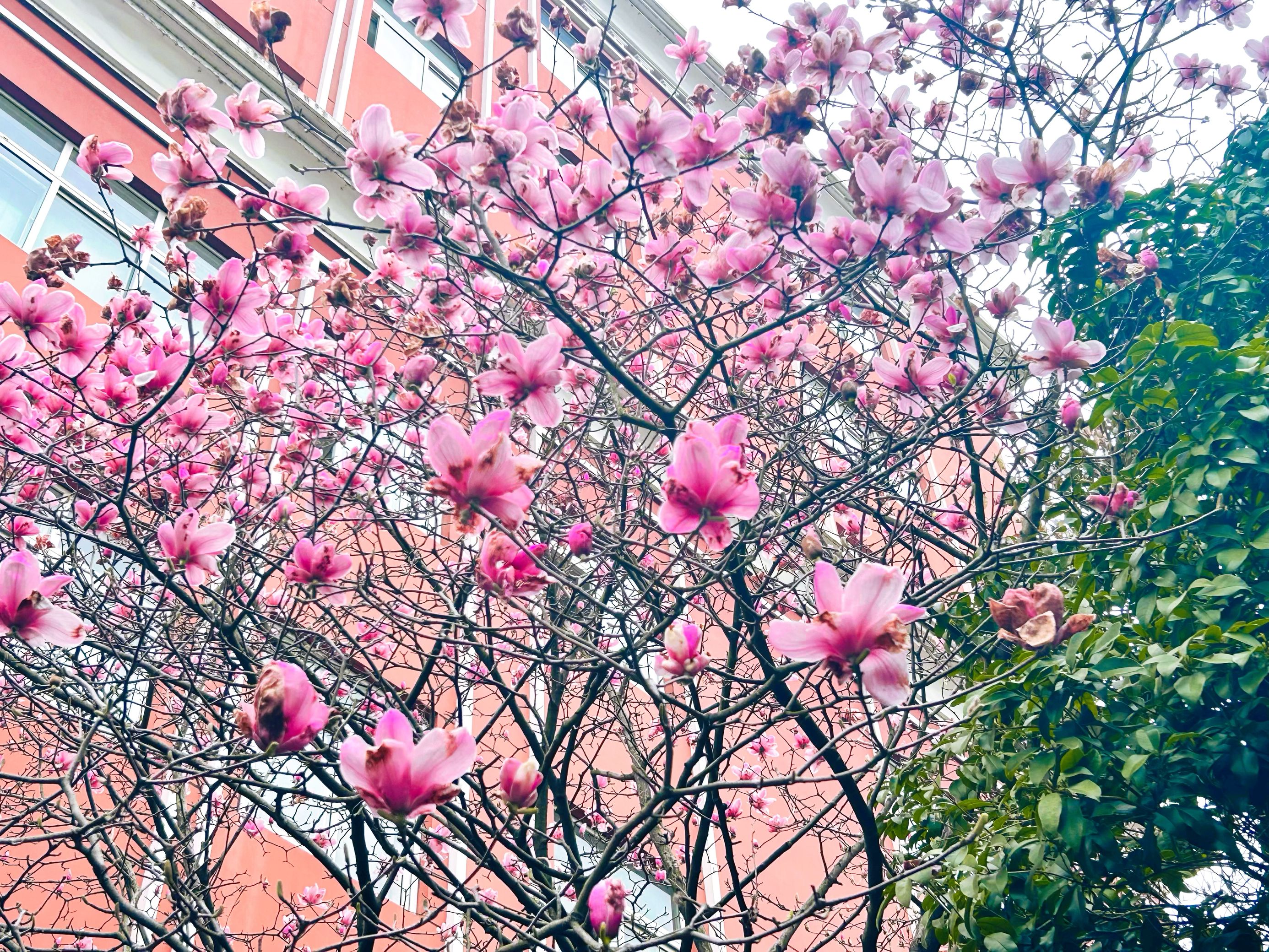 1742955320305167.png 6.png